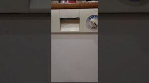 Работа посудомоечной машины zanussi