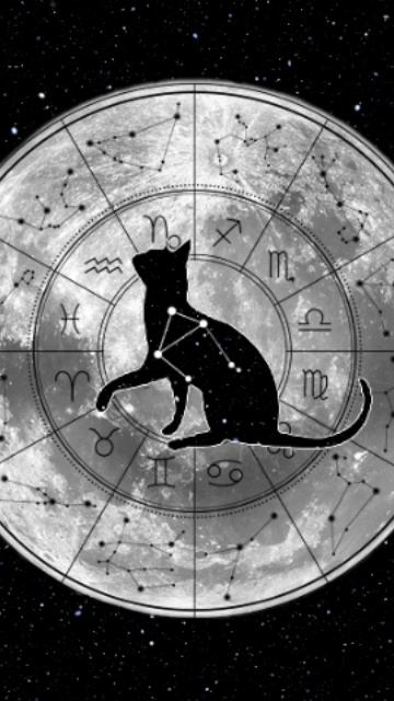 Весы. Астрологический прогноз с 11-17 сентября 2023 года | # смотреть онлайн