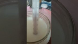 Йогурт из лактобактерии Реутери