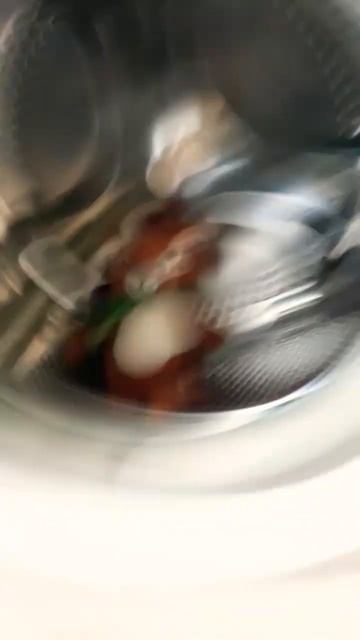 белка в стиральной машине смотреть онлайн