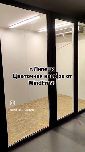 Холодильная камера для цветов от WindFrost. #цветы #цветыво смотреть онлайн