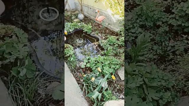 Наш мини беседка и мини садик - около нашего дома... Как смотреть онлайн