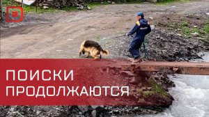 Поиски пропавшего 4-летнего ребенка продолжаются