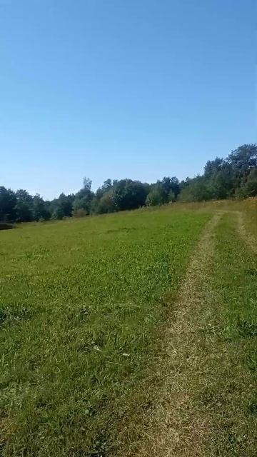 остатки колхоза.. сушилка где раньше сушили зерно и са? смотреть онлайн