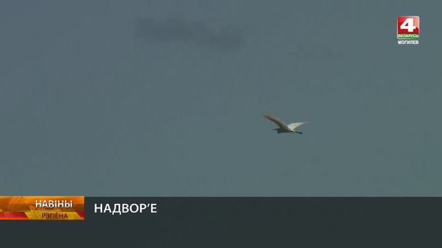 Погода на Могилевщине 10.08.2024 // Облачно с прояснениями, смотреть онлайн
