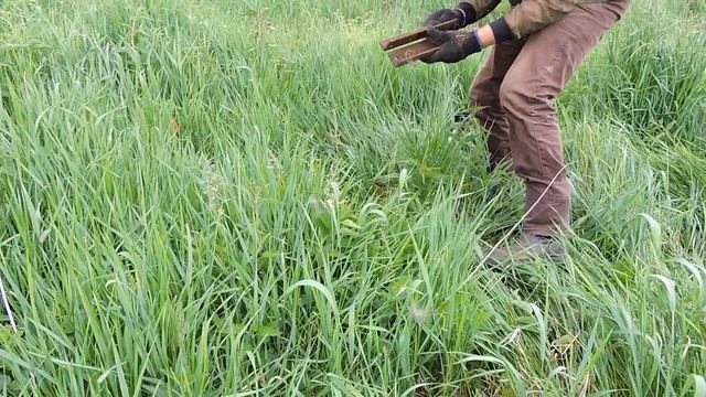 Коп Металлолома На Старой Кузне Снова Принес Много Металла.