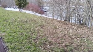 Прогулка по Зеленоградскому Дендрарию / Часть 1.