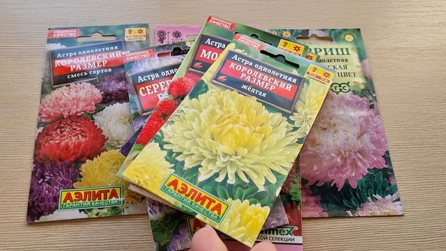 Лучшие сорта астр. Мои семена смотреть онлайн