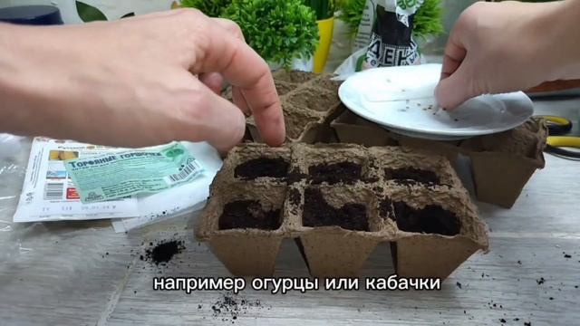 Выбираем ёмкости для рассады!🌱