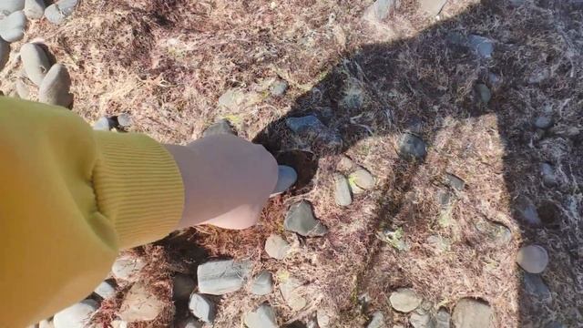 Нашли мазут на пляже Сукко. Погода на юге. Анапа погода смотреть онлайн