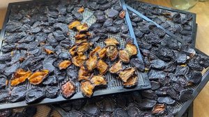 Как хранить Сухофрукты и Как их едят//Вяленая слива с п