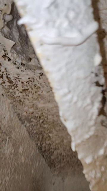 Очистка вентиляции в кафе смотреть онлайн