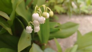 Когда весна придёт 🌱🌱🌱