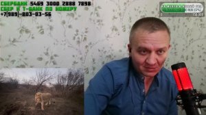 Когда картавую сожрут львы...  - ПРЯМОЙ ЭФИР 28.01.2025