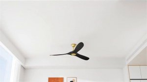 Потолочный вентилятор