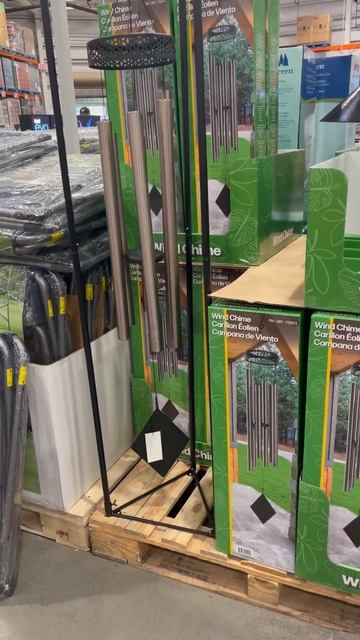 Фен-шуй… огромный #video #canada #fun #канада #shortsvideo #shorts #short #fe смотреть онлайн