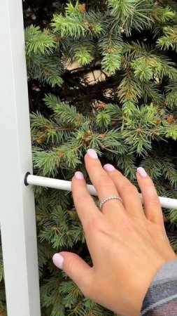 Самый приятный шоппинг — тот, который происходит онлайн 🌍