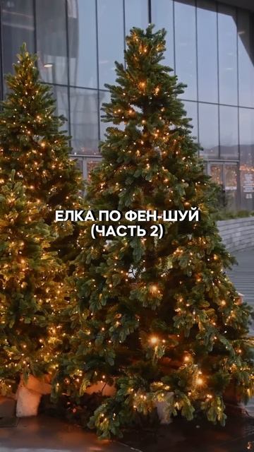 Елка по фен-шуй (часть 2)#гороскоп #новыйгод#2025 #феншуй смотреть онлайн
