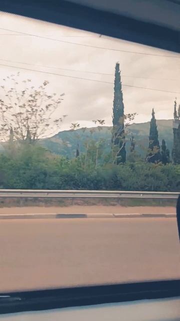 #таро #гороскоп #дзен #гадание #феншуй #тароонлайн #высш смотреть онлайн