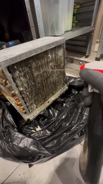 🥵А у нас жара как на БОРА-БОРА,пошла ЖАРА😅Обслуживан смотреть онлайн