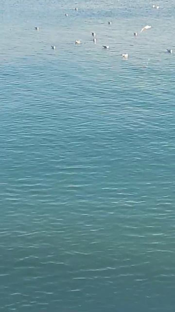 "И пусть качает волна морская..."⚓Какая погода в Одессе смотреть онлайн