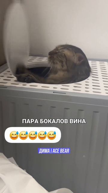 Те Же Грабли😂 #юмор #прикол #мем смотреть онлайн
