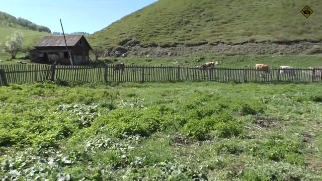 Работы на участке (05.24) | Чайники в Деревне смотреть онлайн