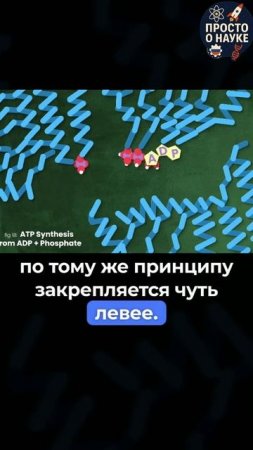 🧪 Единица Бета