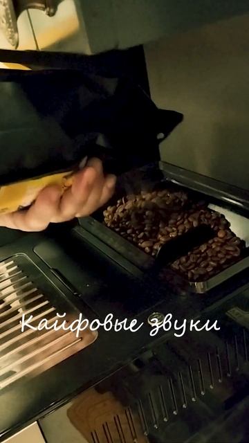 Кайфовые звуки, будем использовать в песне.. #music #chorts смотреть онлайн