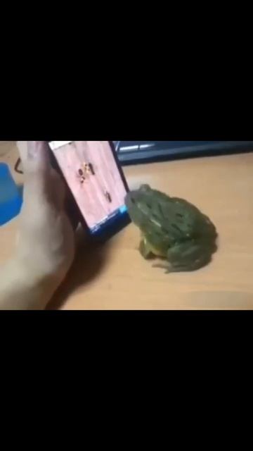 Создание иллюзии Смотреть до конца #shorts смотреть онлайн