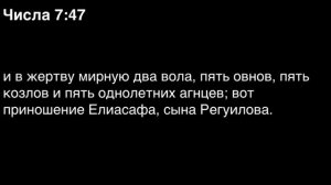 Числа, глава 7
