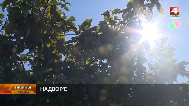 Погода на Могилевщине 12.09.2024 // Возможны осадки смотреть онлайн
