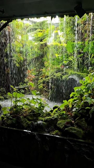 Оранжереи в Сингапуре - Flower Dome и Cloud Forest