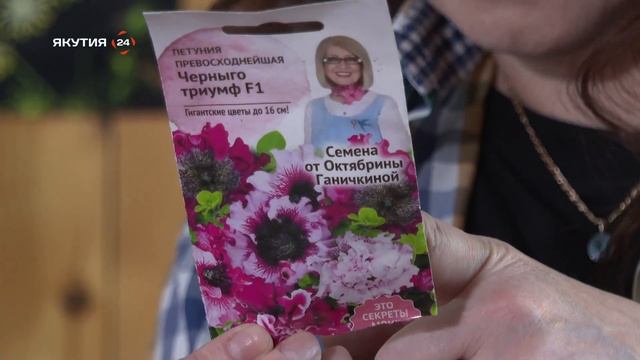 Мы вам покажем: Посадка овощей