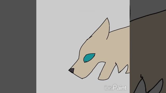 что то #кот #art #animation #арт #рекомендации #рисунок #drawing #ibi