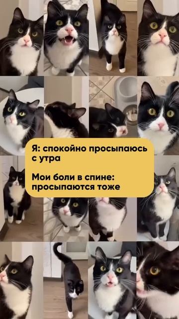 Как избавиться от болей в спине дома? #short #shorts #drevmass #д?