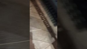 Встраиваемый холодильник Gorenje RI4182E1, установка прошла ?