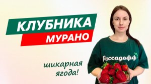 ШИКАРНАЯ ЯГОДА! СОРТ МУРАНО, ОБЗОР