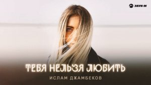Ислам Джамбеков - Тебя нельзя любить | Премьера трека 2024