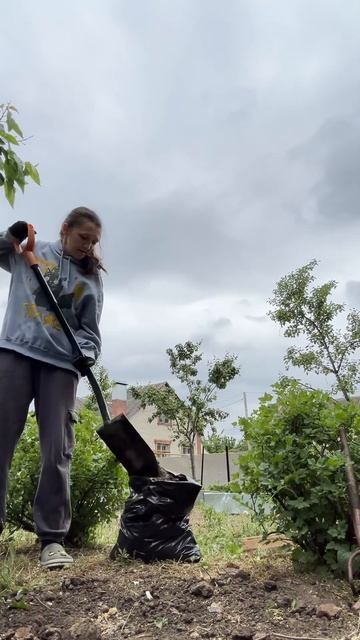 Удобный способ высадки огурцов! #армавир #дача #огород смотреть онлайн