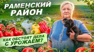 389. Лучшие перцы и томаты от СЕМКО - По дачам - 2й сезон 8-я серия