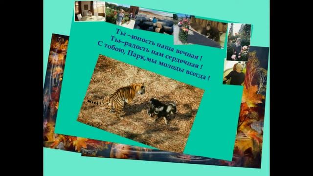 Поздравление с 3 годовщиной встречи Амура и Тимура от группы ВК "Амур, Тимур и компания" смотреть онлайн