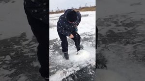 Шуруповёрт для Ледобура Зверь ПРОСТО РВЁТ ЛЁД! #зимняя