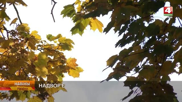 Погода на Могилевщине 16.10.2024 // Возможны осадки смотреть онлайн