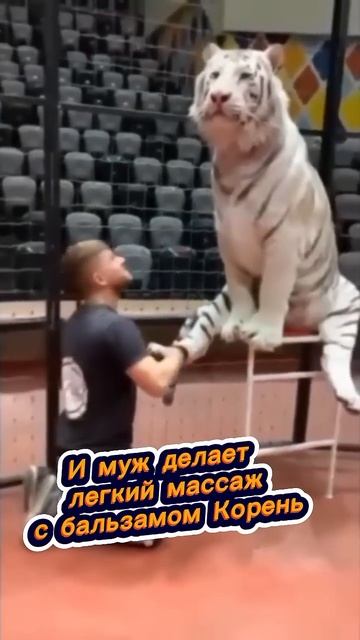 Устали ножки, нужен массаж и бальзам Корень. #бальзамк? смотреть онлайн