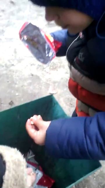 маленький мальчик ест из мусарки смотреть онлайн