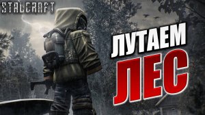 ЛУТАЕМ ЛЕС | Сталкер | Сталкрафт / STALCRAFT | #27