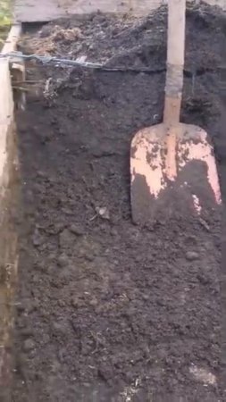 ВЫ ДЕЛАЕТЕ ЭТО НЕПРАВИЛЬНО! КАК ПОЛИВАТЬ РАСТЕНИЯ, ЧТОБЫ ОНИ РОСЛИ В 2 РАЗА БЫСТРЕЕ!