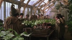 Орущая Мандрагора/Гарри Поттер и тайная комната.2002