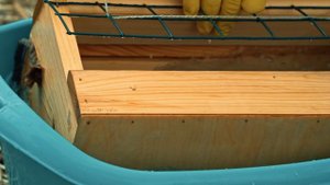 Уход за кормушками для птиц